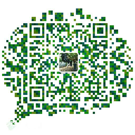 211918zf74fxu4bnuuxlmq.png