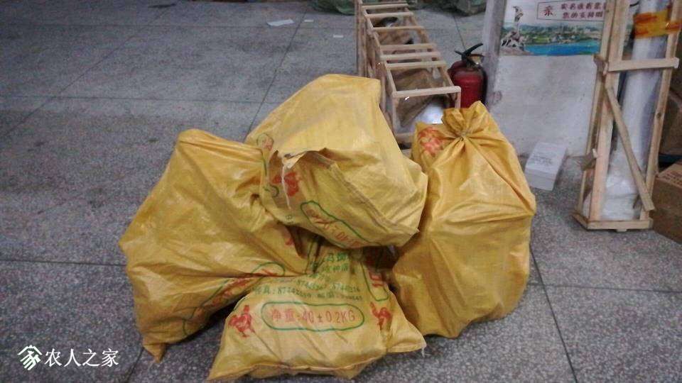 050240ptuqzhu88x8bqsvb.jpg