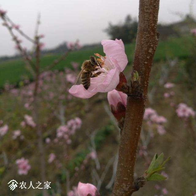 IMG_20180310_131817.jpg