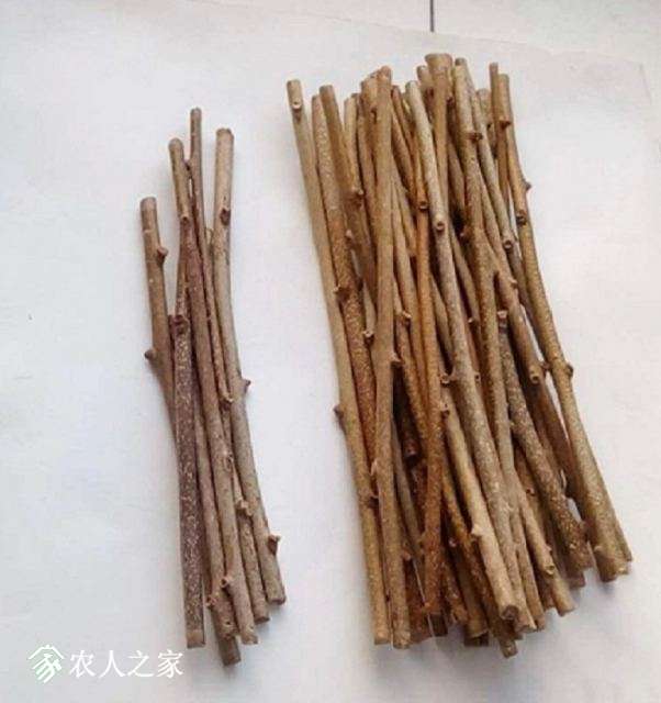 ֦