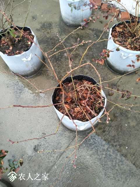 IMG20180307155208.jpg