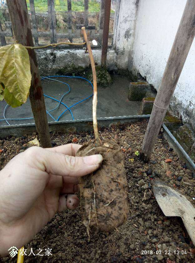 233154l1wviz68jirsiiiu.jpg