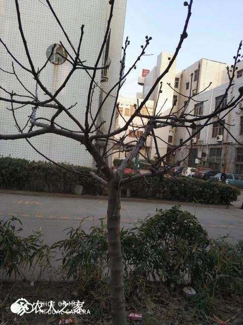 99B1DBF4AC67DBFA012AB26C05B63FE9.jpg