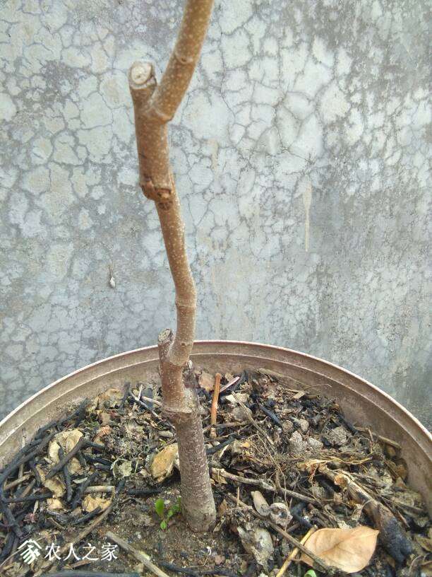 125930ehj3h5hbtjbjbb5t.jpg