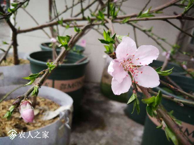 172028mc3xe3gkctfazk6s.jpg