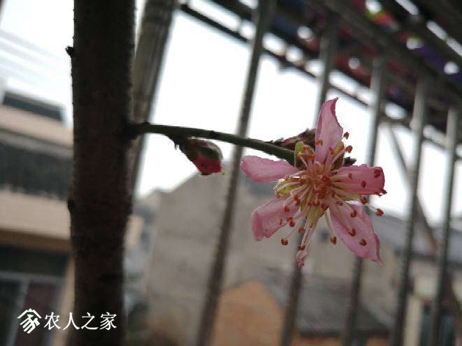 172030sxeerqr2qxqljh1z.jpg