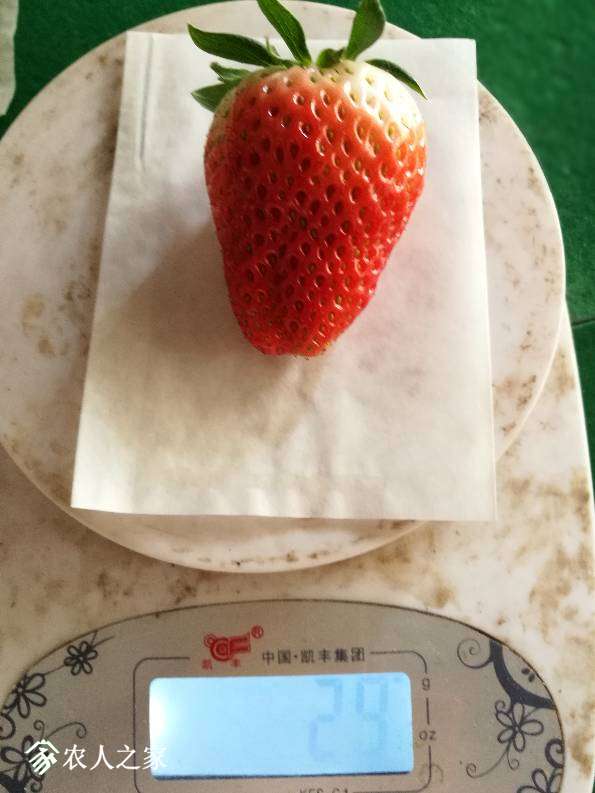 123653ytizy1l0btskzbii.jpg