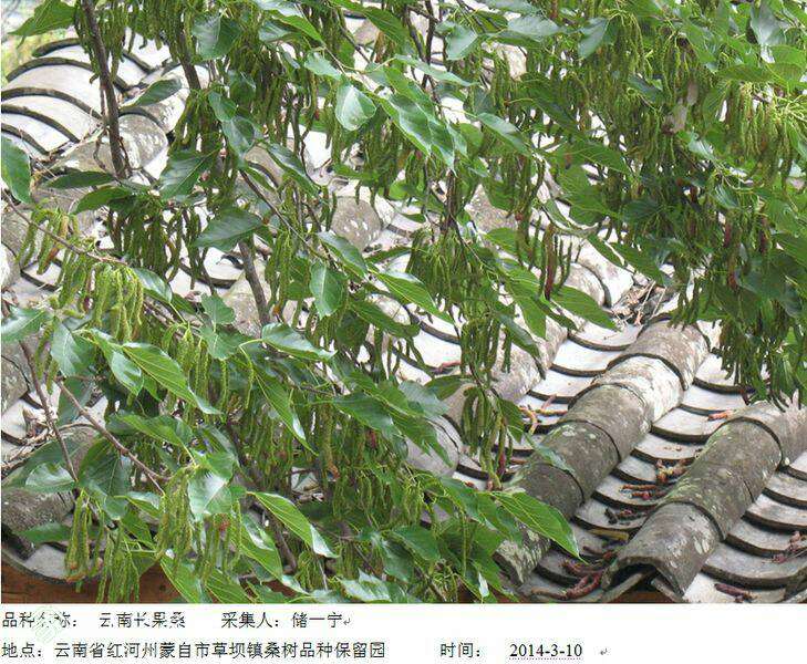130311gqroo5pg1utzqu7l.jpg