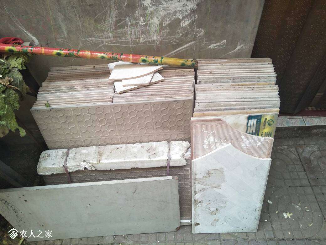 101212edjov9737979oiz7.jpg