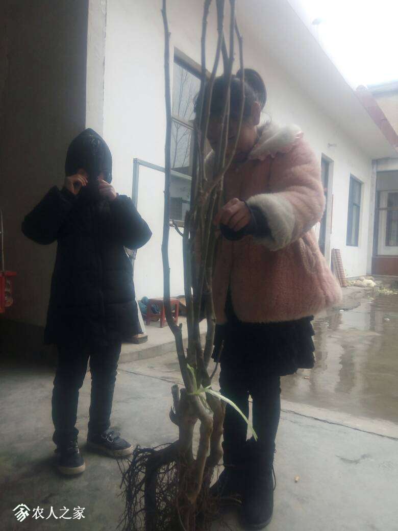 161816pi7b2nibjisidw8p.jpg