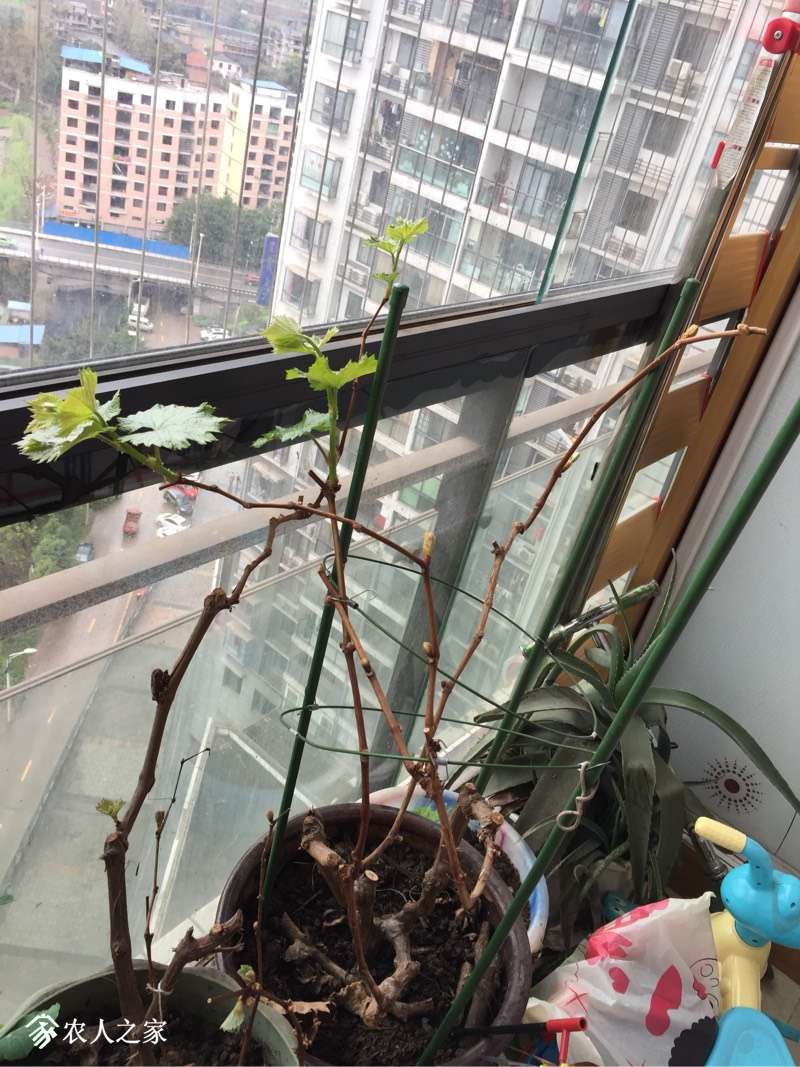 170247tdw64u7pzjujw44w.jpg