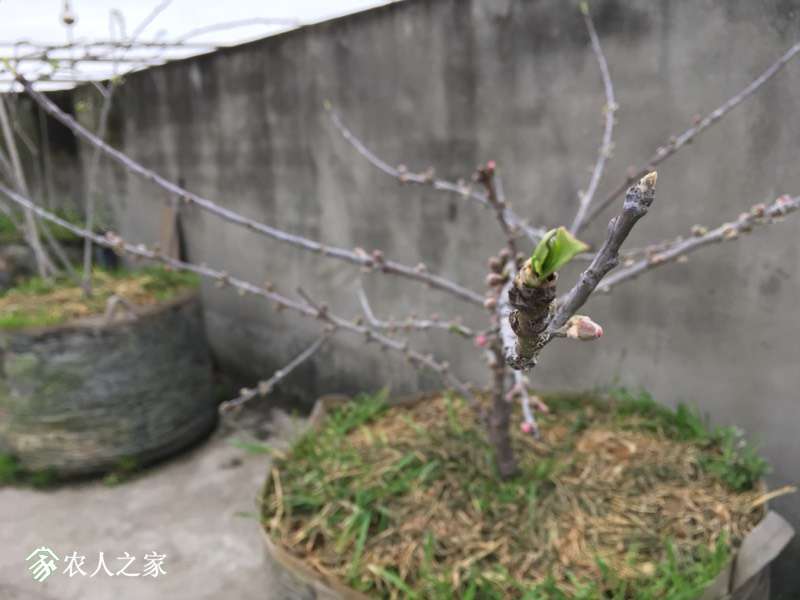 221306er0zxo2dts06ad7c.jpg
