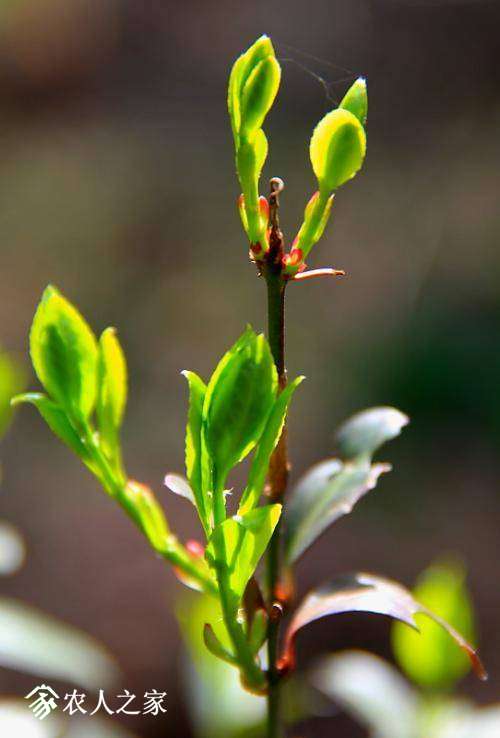 100503iylvux0htlsh4hcv.jpg
