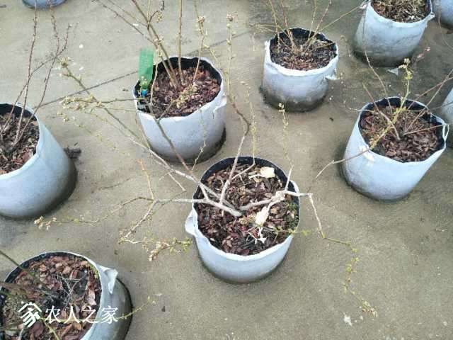 IMG20180319150612.jpg