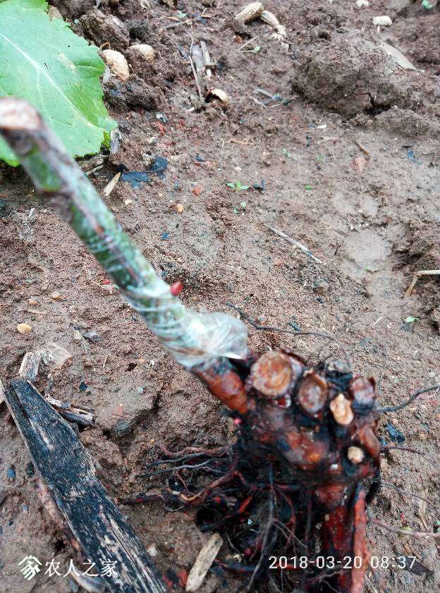 083749j50bv9yascyc0h9h.jpg