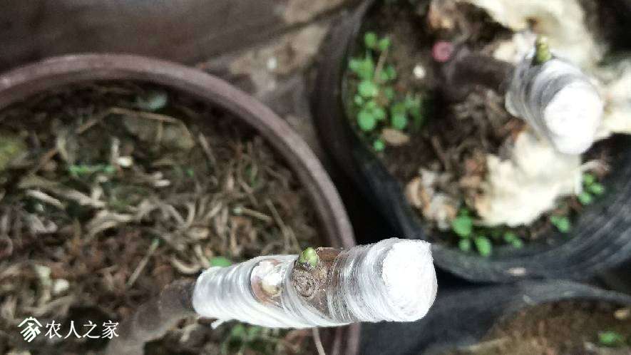 090226mhpkulpbufu9yhz9.jpg