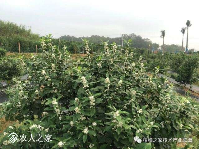 20180320_160455_026.jpg