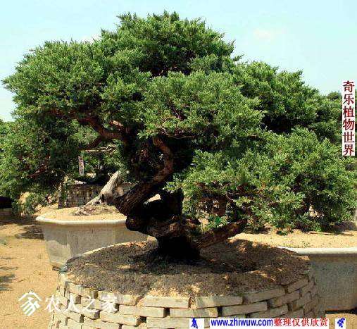 081756odfllojuyyf9atan.jpg