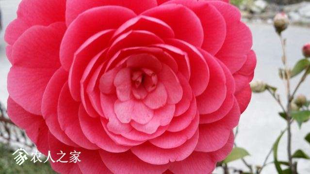 20180318_152733_resized.jpg