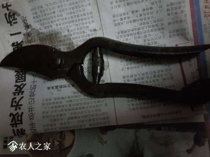 235055szmyygolip6p8o06.jpg