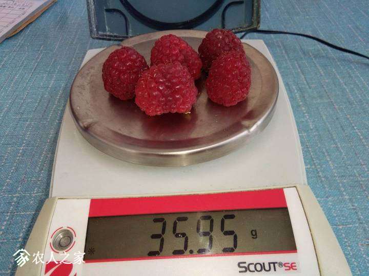 094933f2cisjs8mcyizajj.jpg