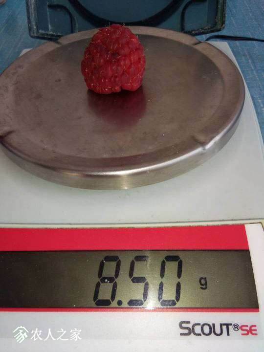 094933gih7r44erwi09zre.jpg