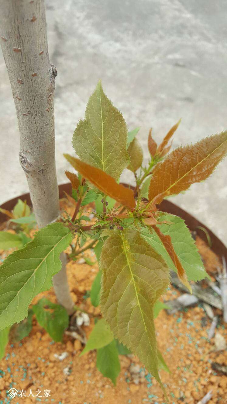 200932iyojj4n940yan0zt.jpg