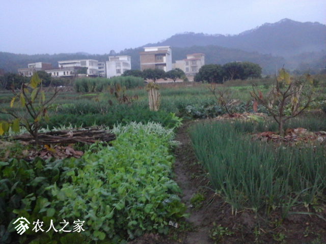 20180219_183604.jpg
