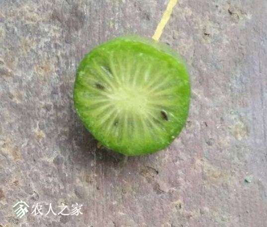 ����ϡ�٣��ڷ۲���ȫ