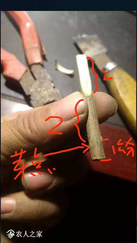224444lbbhphk4kzd6z4h6.jpg