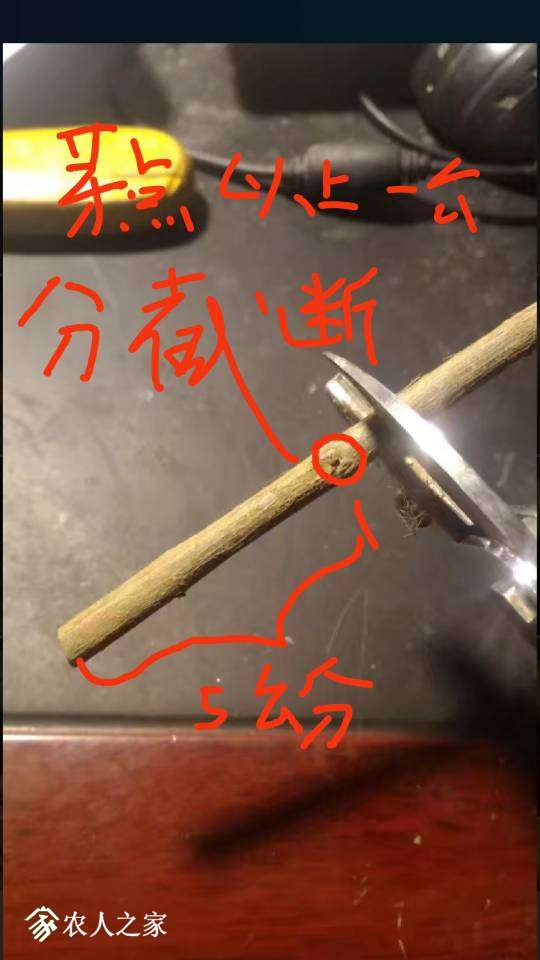 224444w1zelvdzp8srddpa.jpg