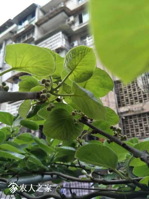 IMG20180323171005.jpg