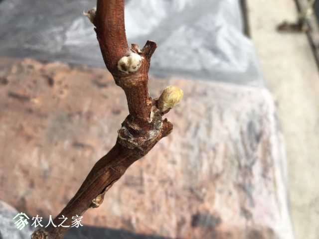 21CCDAB8-900F-422B-991B-D7F1476F732B.jpeg