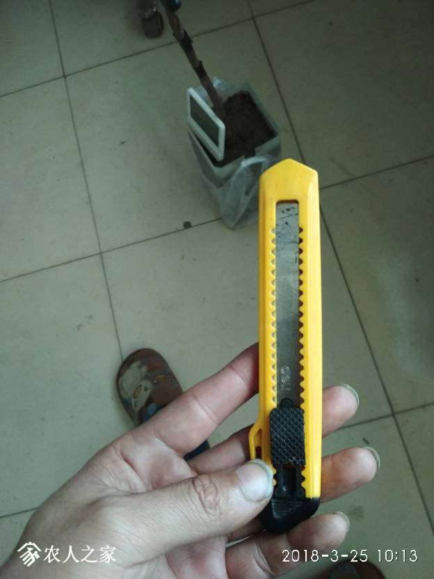 101336xzt1jcccueoc5tc1.jpg
