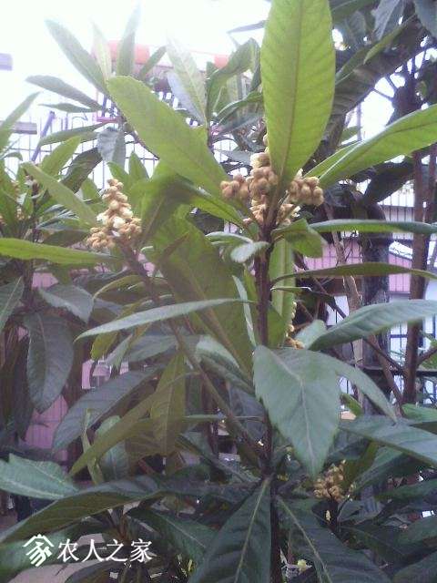 Ƭ 034.jpg