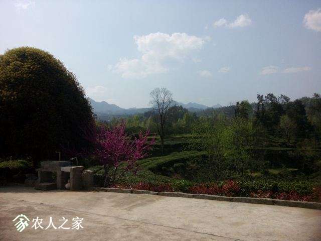 IMG_20170401_144313.jpg