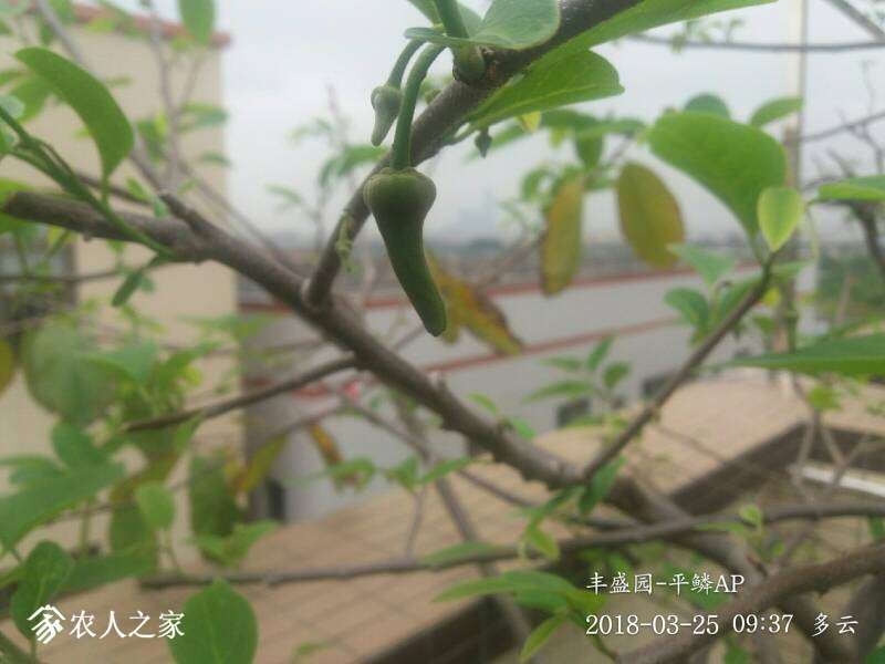120306a2ijyy22jg2mbjx3.jpg