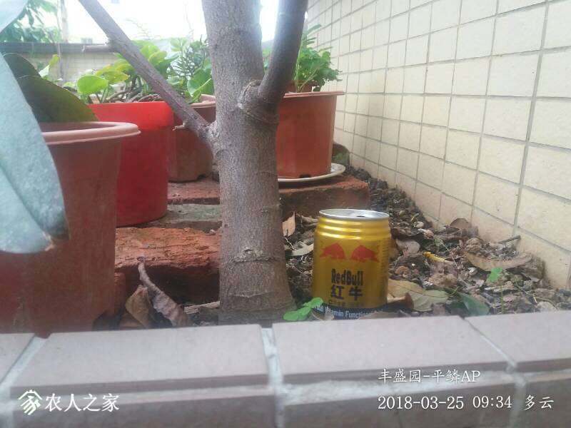 120306byavvjwqs9pultaq.jpg