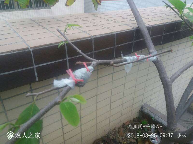 120307fofcufgj2jcgci7l.jpg