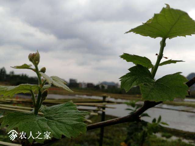135818os22p8481hyq7tzq.jpg