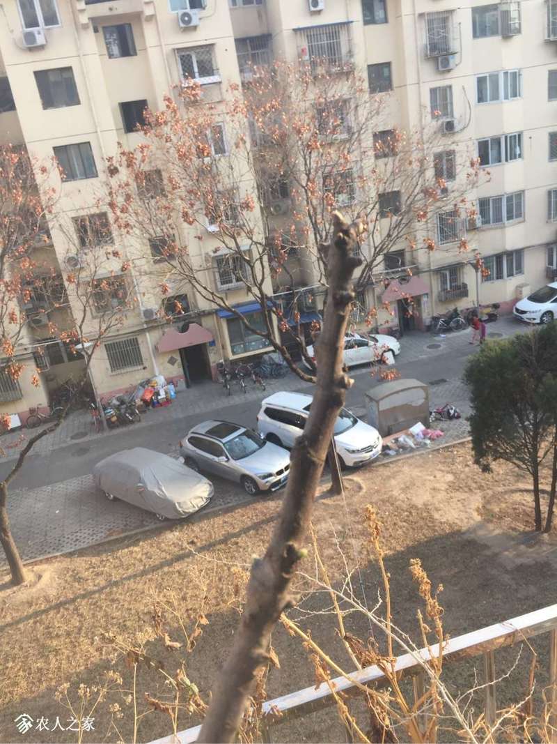 165721vc25j38548580lw4.jpg