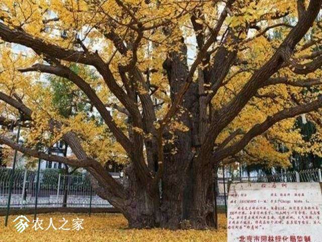 t01a5154da971ada807.webp.jpg