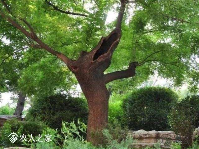 t01f7af8eff236ece3d.webp.jpg