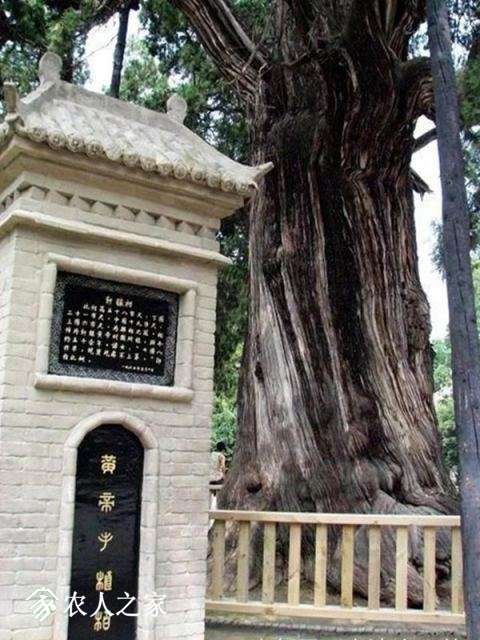 t01d152dd5dbfcdf571.webp.jpg