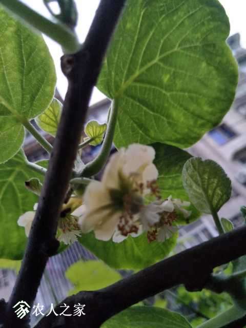 IMG20180326185633.jpg