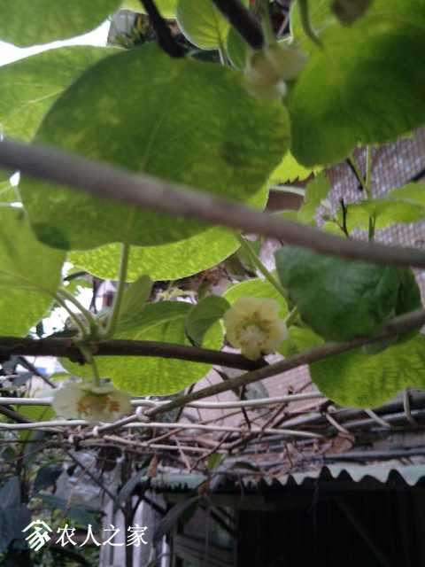 IMG20180326185614.jpg