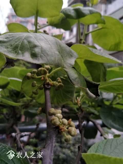IMG20180326190449.jpg