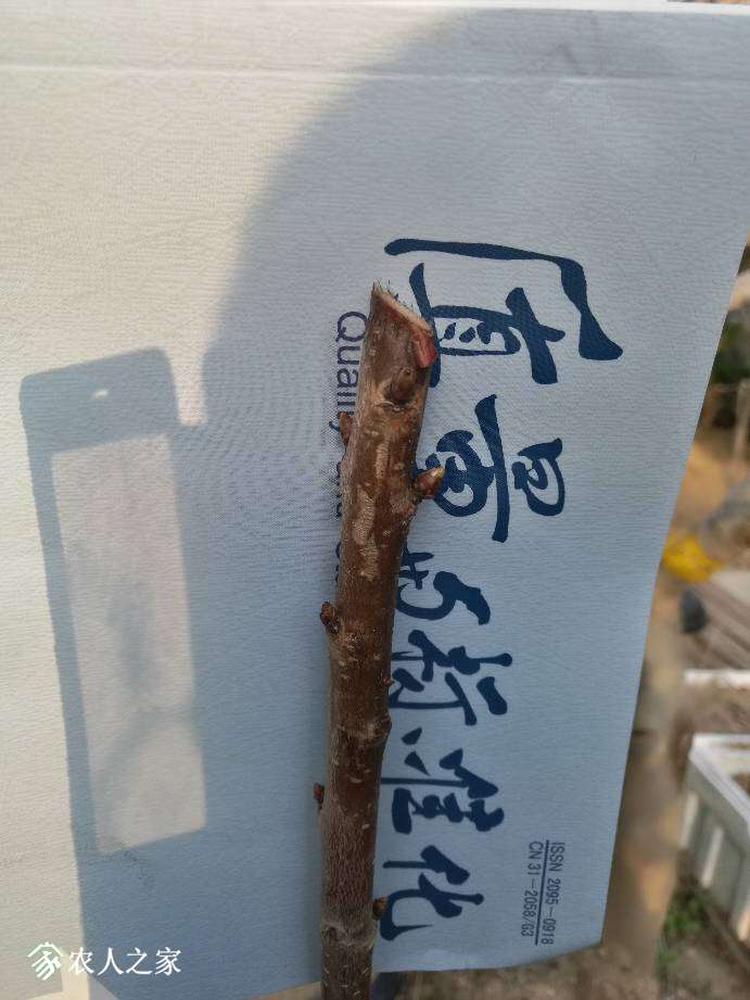 170745mpeebeecfcoroooe.jpg