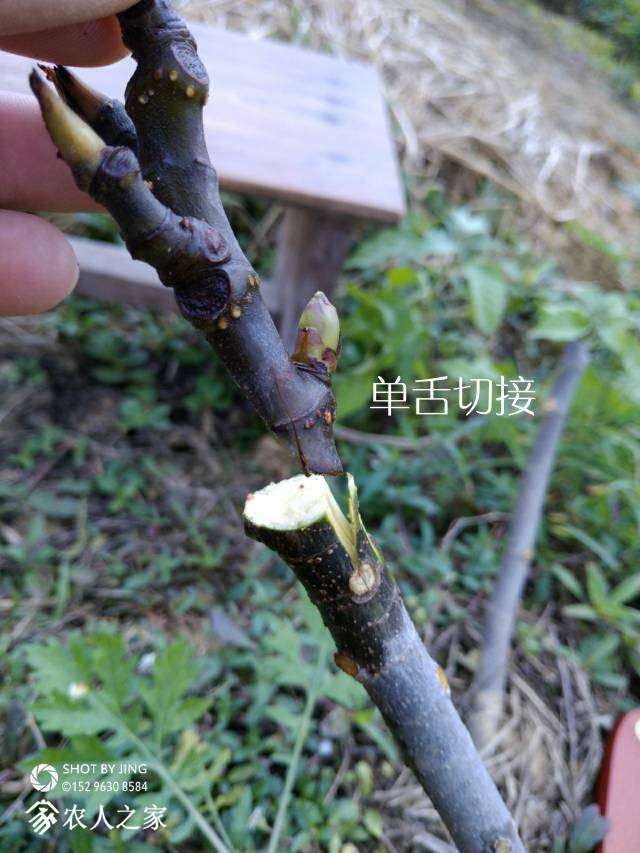 235624jomohdyt0udmw7wz.jpg