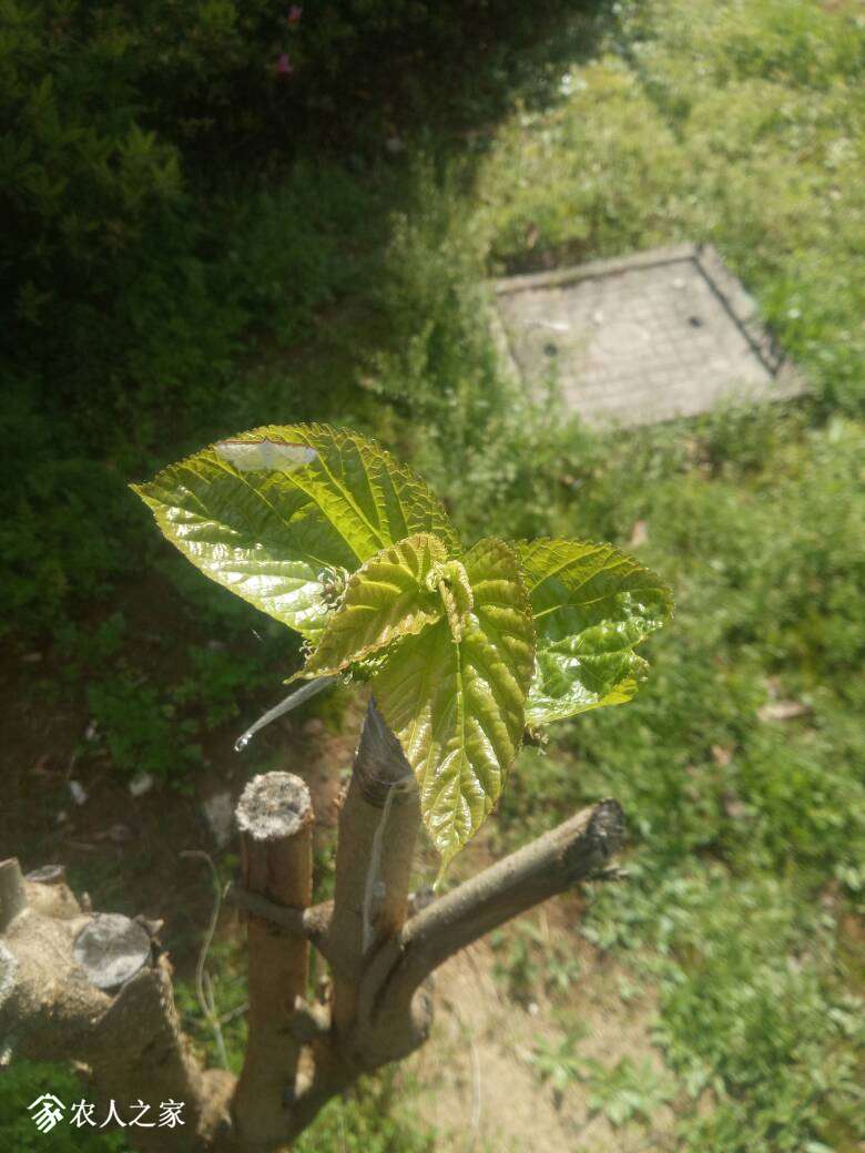 171903m18gjmrxjdfq78rm.jpg